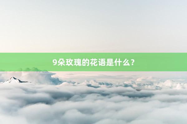 9朵玫瑰的花语是什么？