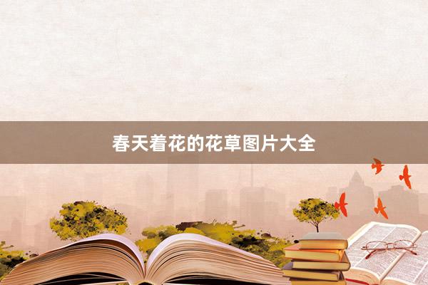 春天着花的花草图片大全